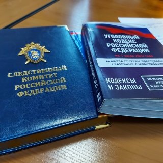 Житель Гусева, обвиняемый в применении насилия к полицейскому, предстанет перед судом